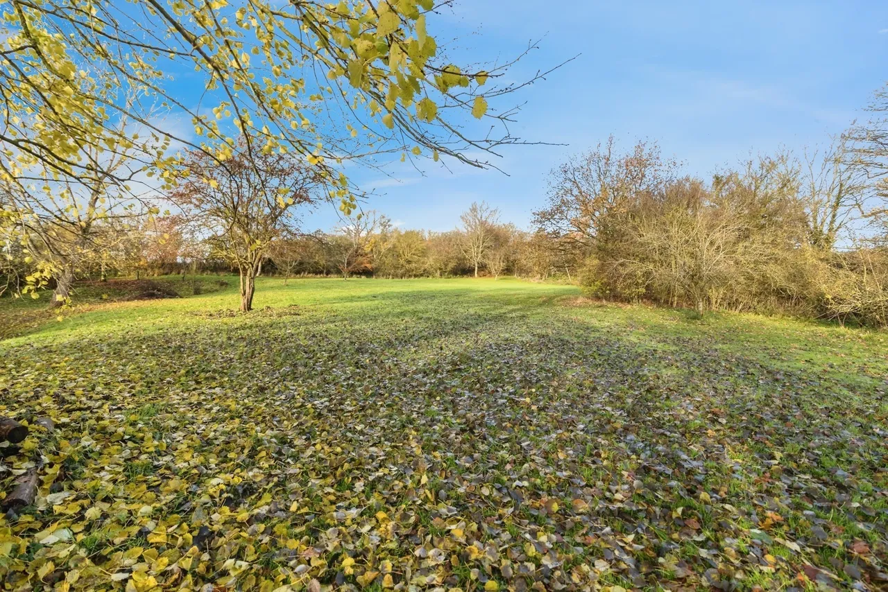 Ringsfield Common, Ringsfield, Beccles, Suffolk, NR34, photo 17