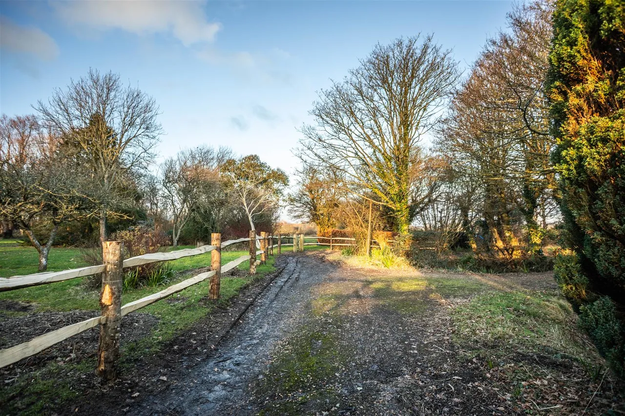 Langtye Lane, Ripe, Lewes, BN8 6BA, photo 16