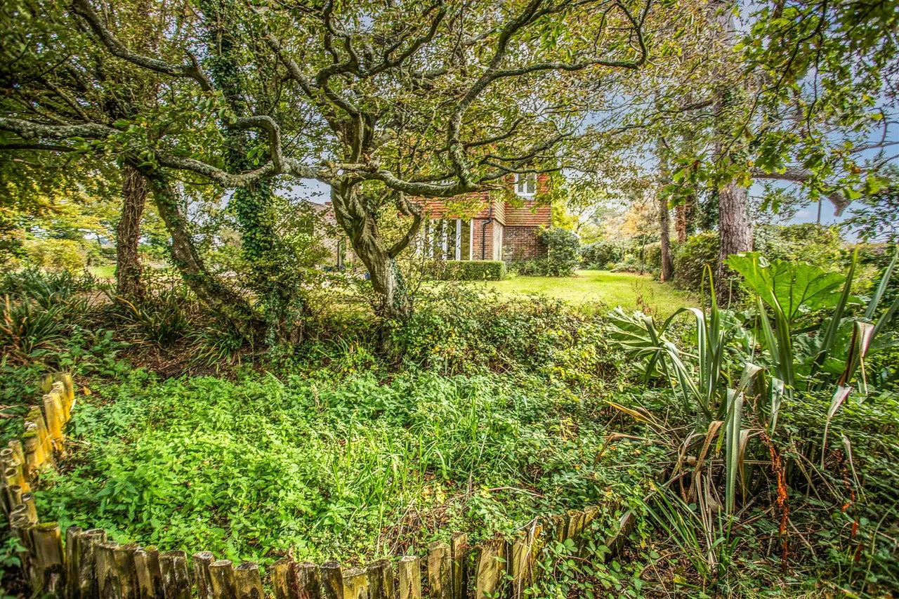 Langtye Lane, Ripe, Lewes, BN8 6BA, photo 29
