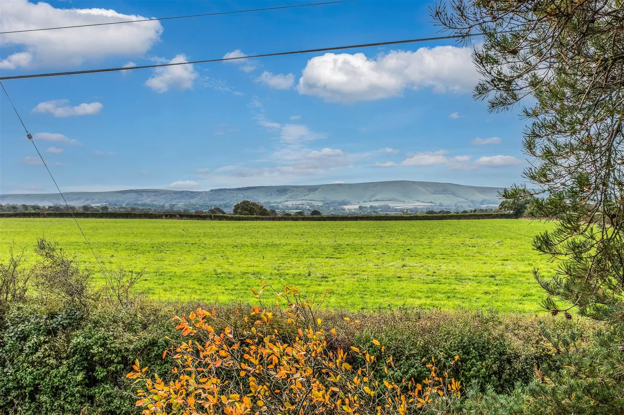 Langtye Lane, Ripe, Lewes, BN8 6BA, photo 34