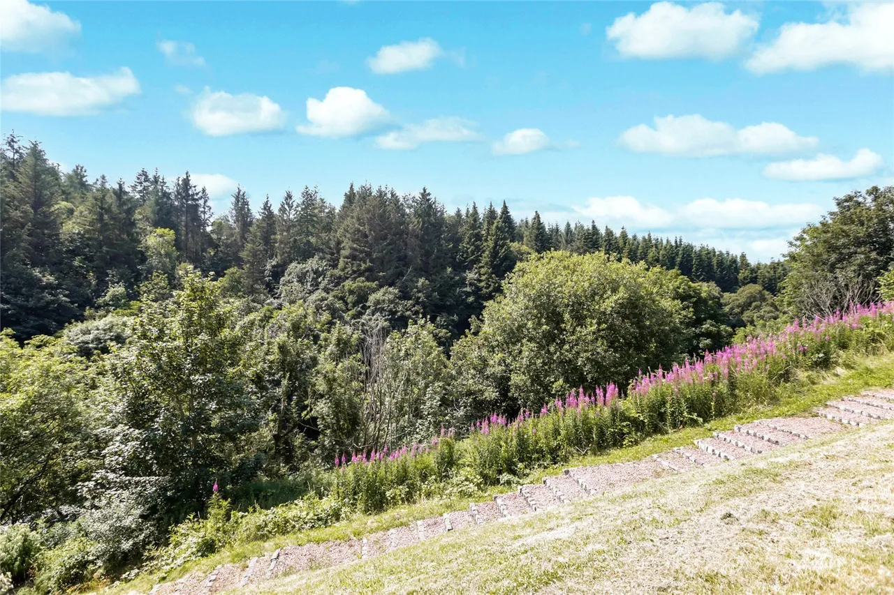 Long Row, Lanark, ML11, photo 19