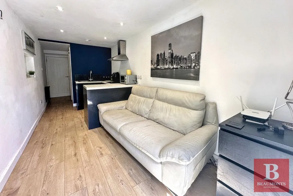 Larkfield Way, Brighton BN1 8EF, photo 19