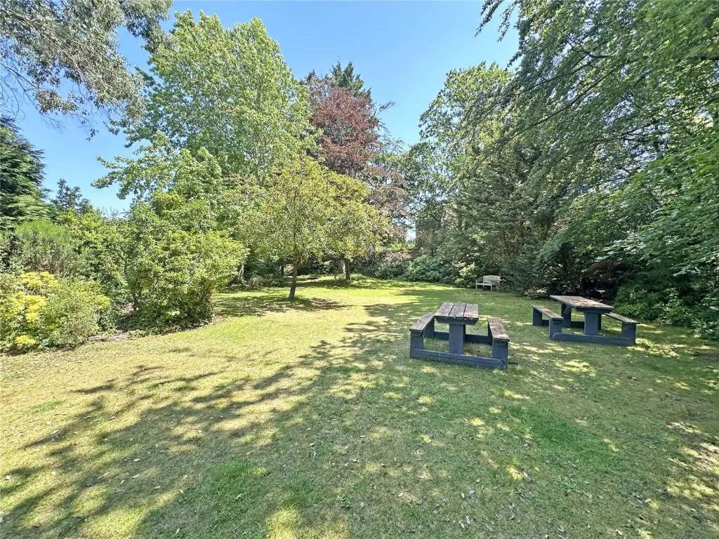 Brockenhurst, Hampshire, photo 21