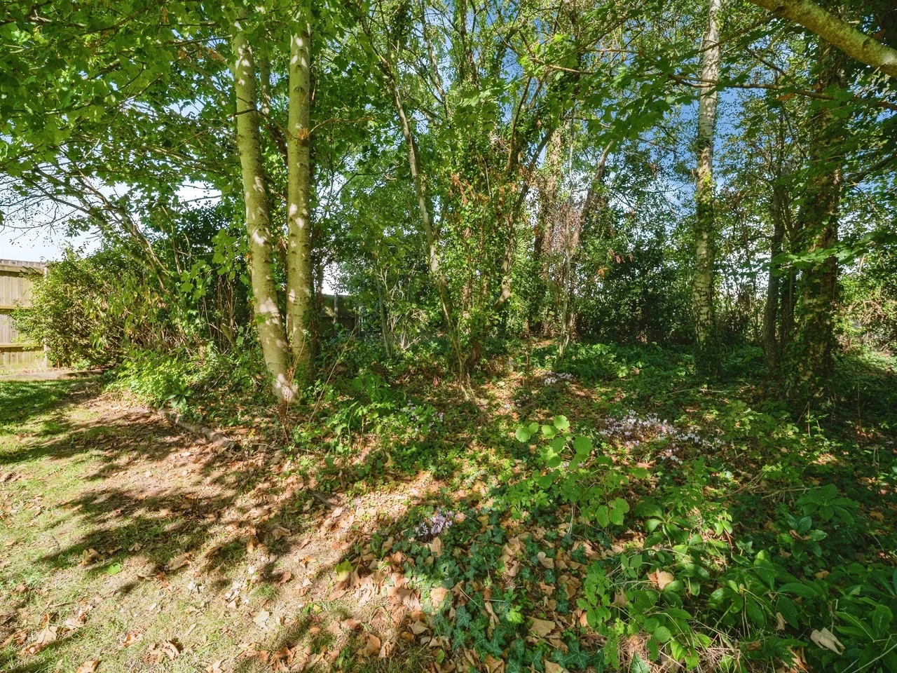 Talbothayes Cottages, West Stafford, DT2, photo 22