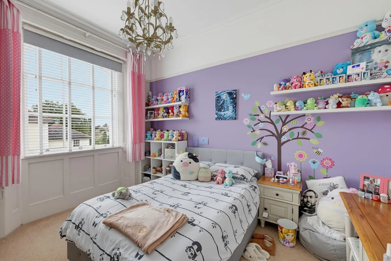 Seymour Road, Mannamead, PL3, photo 24