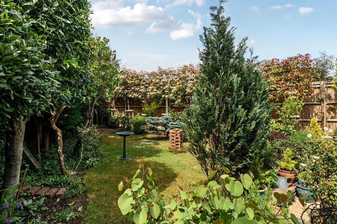Mower Place, Cranleigh, GU6, photo 13