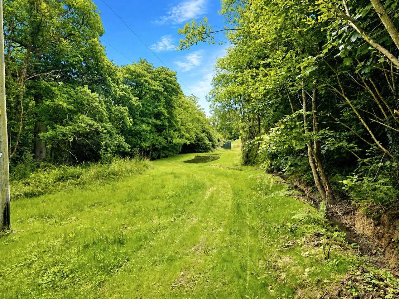 Huntshaw, Torrington, EX38, photo 20