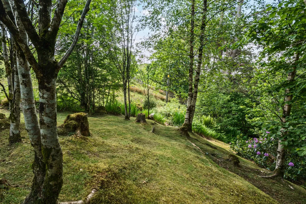 Mole End, Oxen Fell, LA21, photo 3