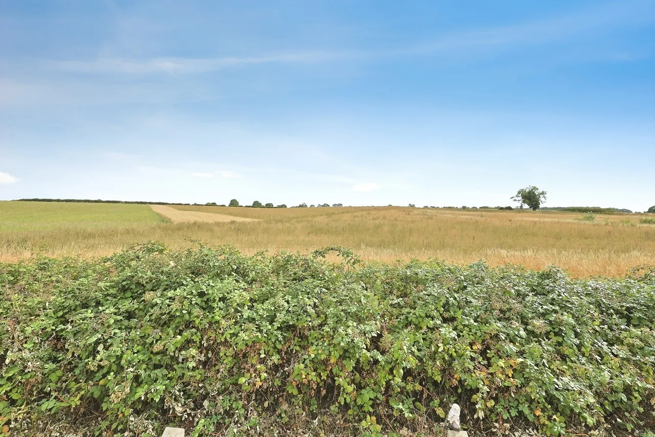 Parklands, Green Lane Estate, Pudding Norton, Fakenham, NR21, photo 4
