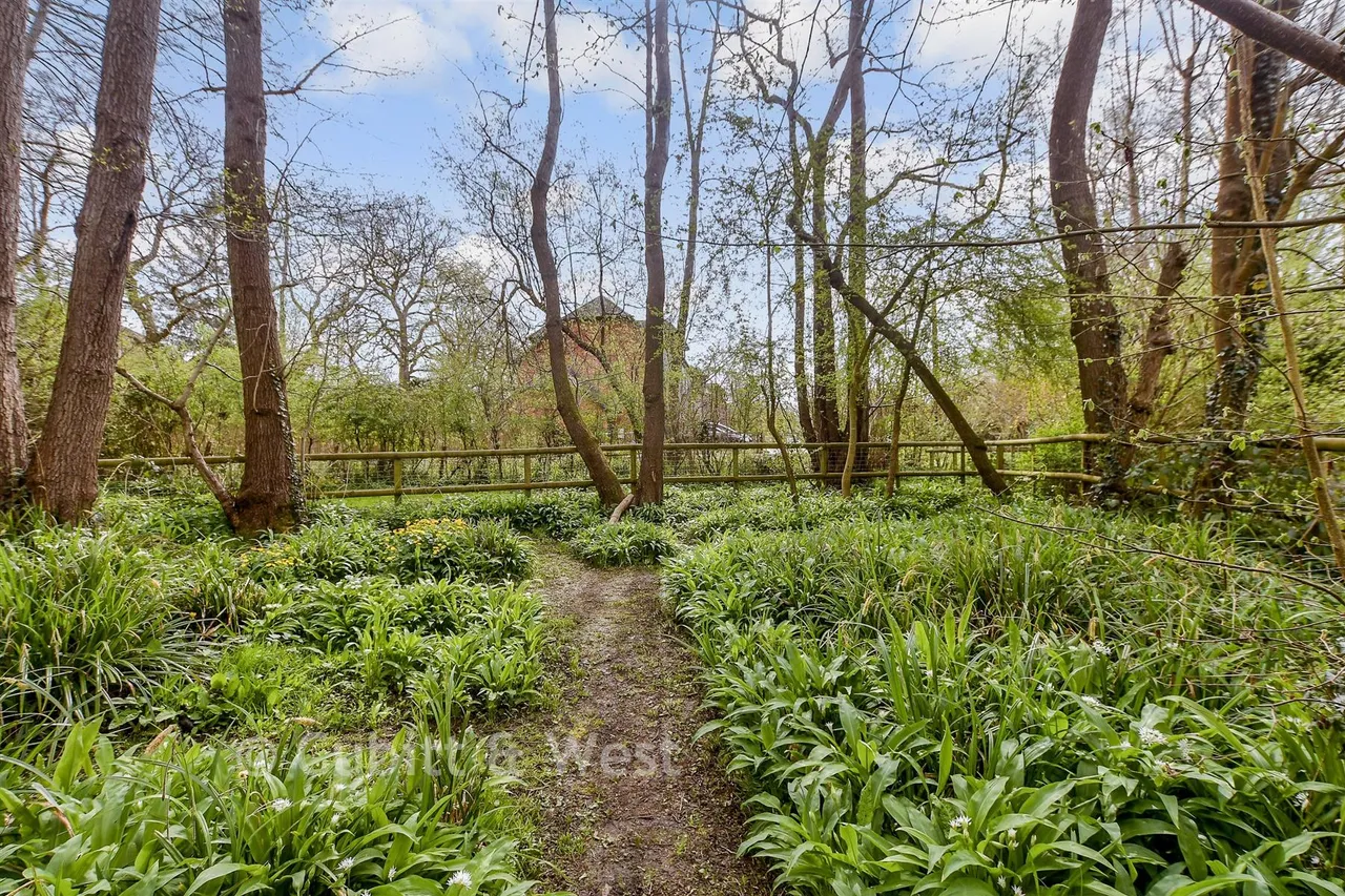 Southlands, East Grinstead, RH19, photo 18