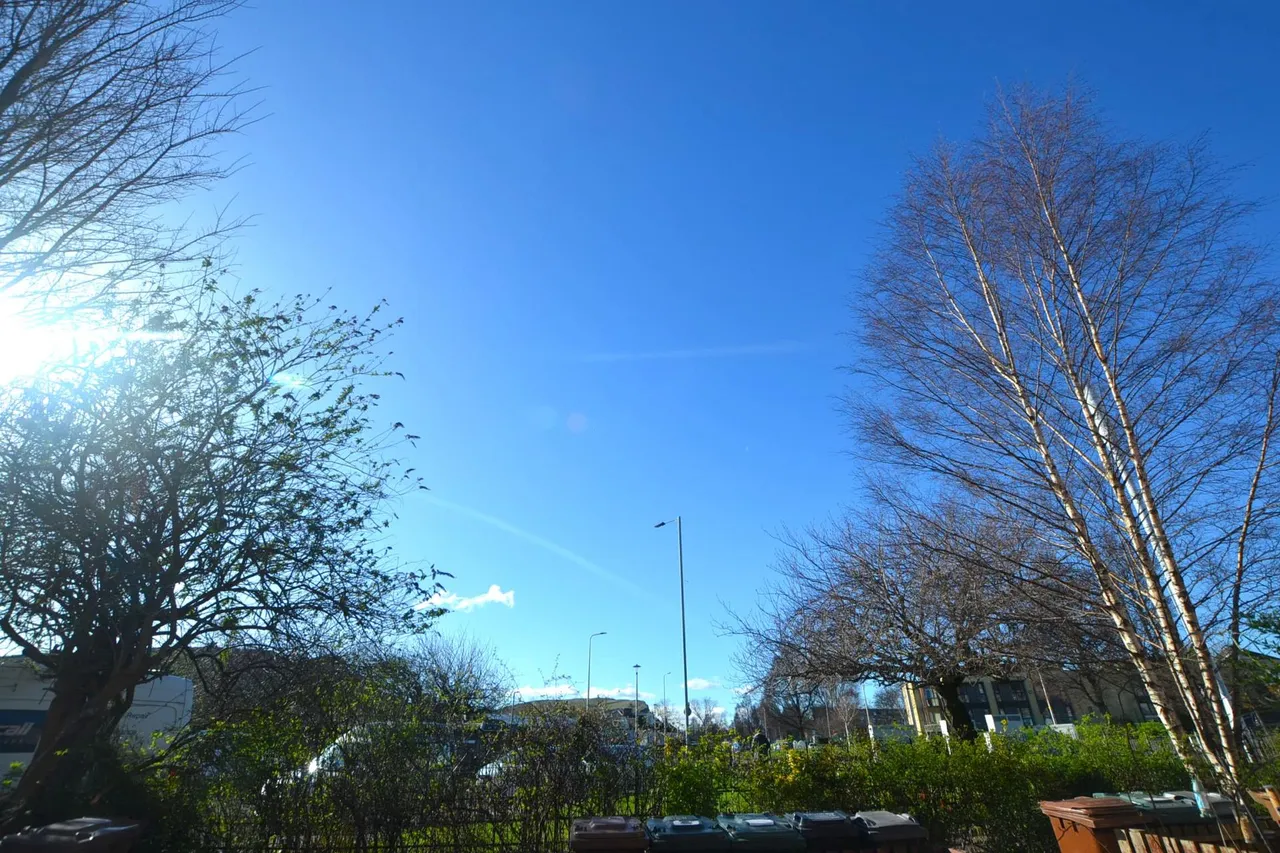 Marionville Road, Abbeyhill, EH7, photo 13