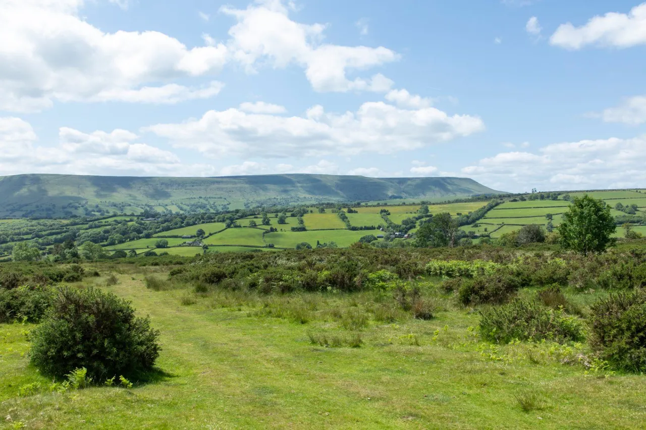Vagar Hill, Craswall, Herefordshire, HR2 0PL, photo 5