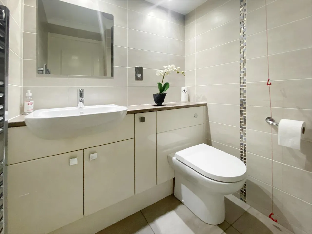 The Street, Rustington, photo 11