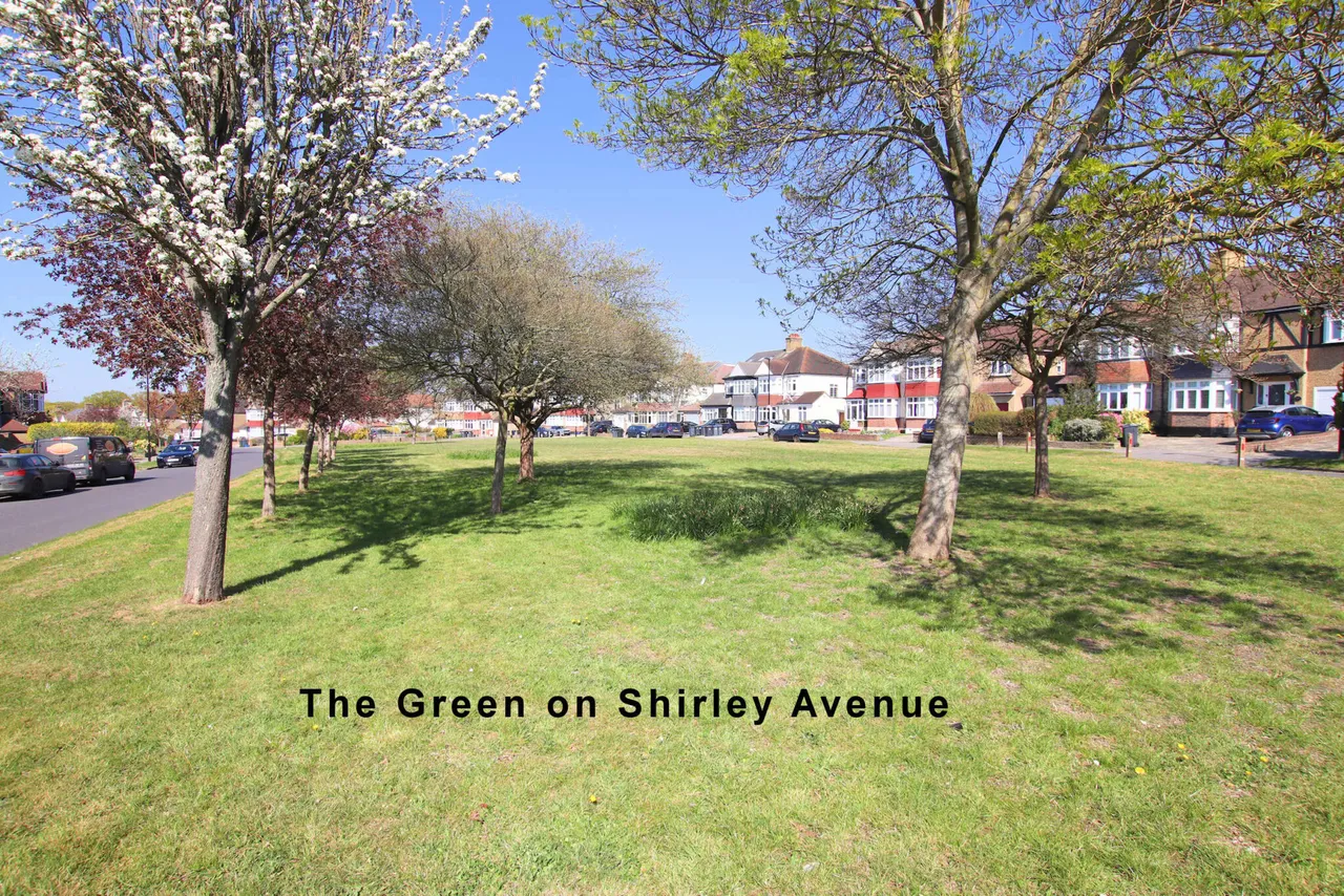 Shirley Avenue, Croydon, Croydon, CR0 8SH, photo 17