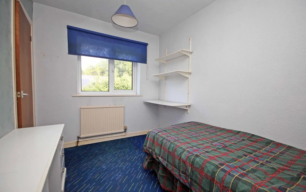Stad Plas Hen, Llanddaniel, photo 10
