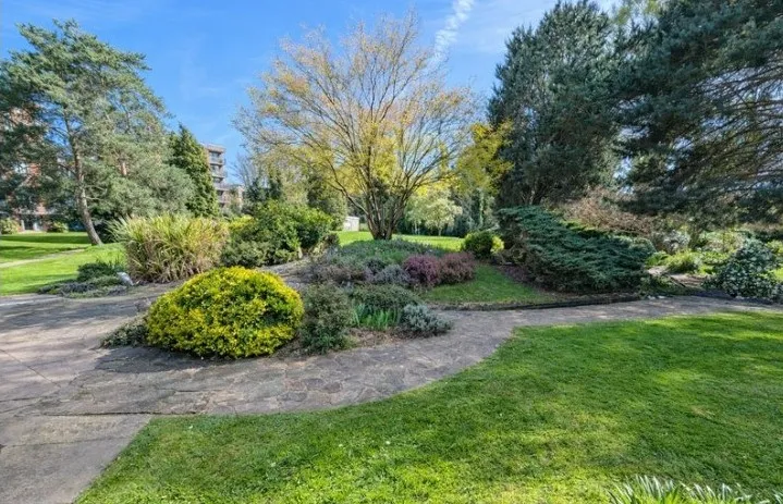 Shared House Bil, photo 16