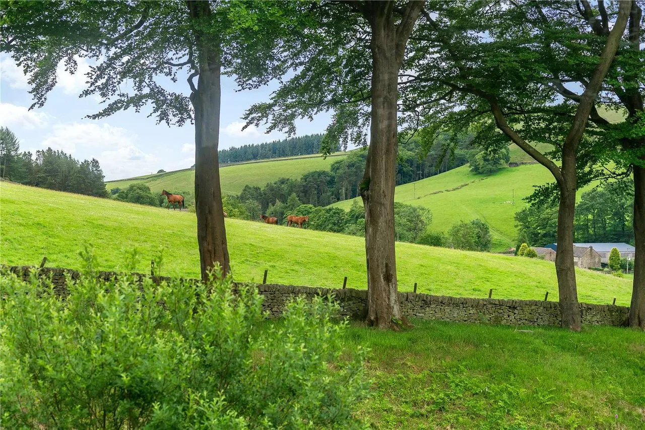 Wildboarclough, Macclesfield, SK11, photo 27