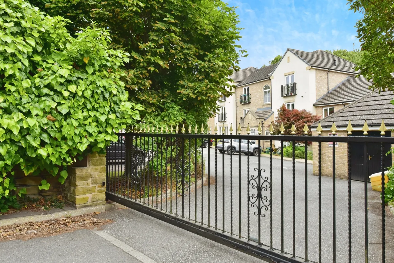142 Chelsea Road, Sheffield, photo 4