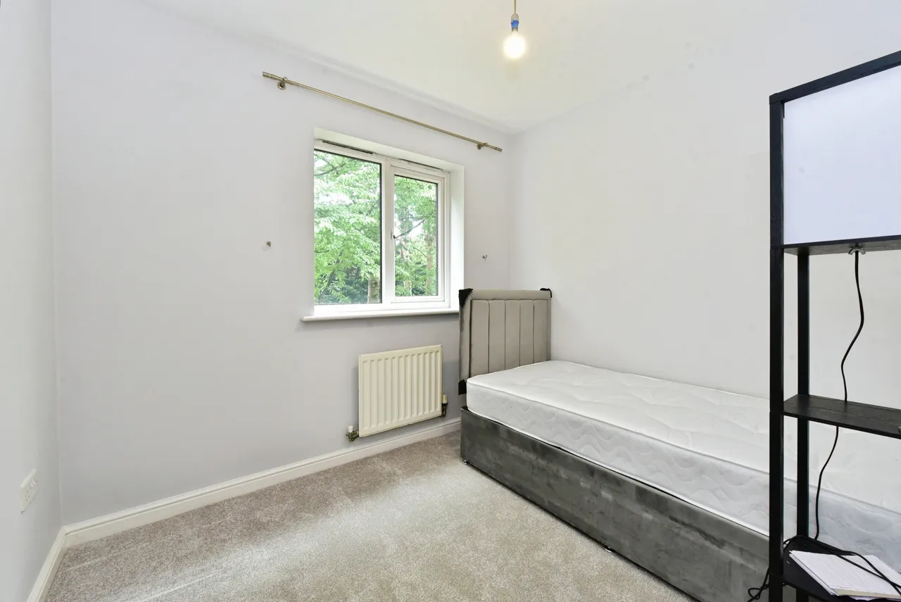 142 Chelsea Road, Sheffield, photo 9