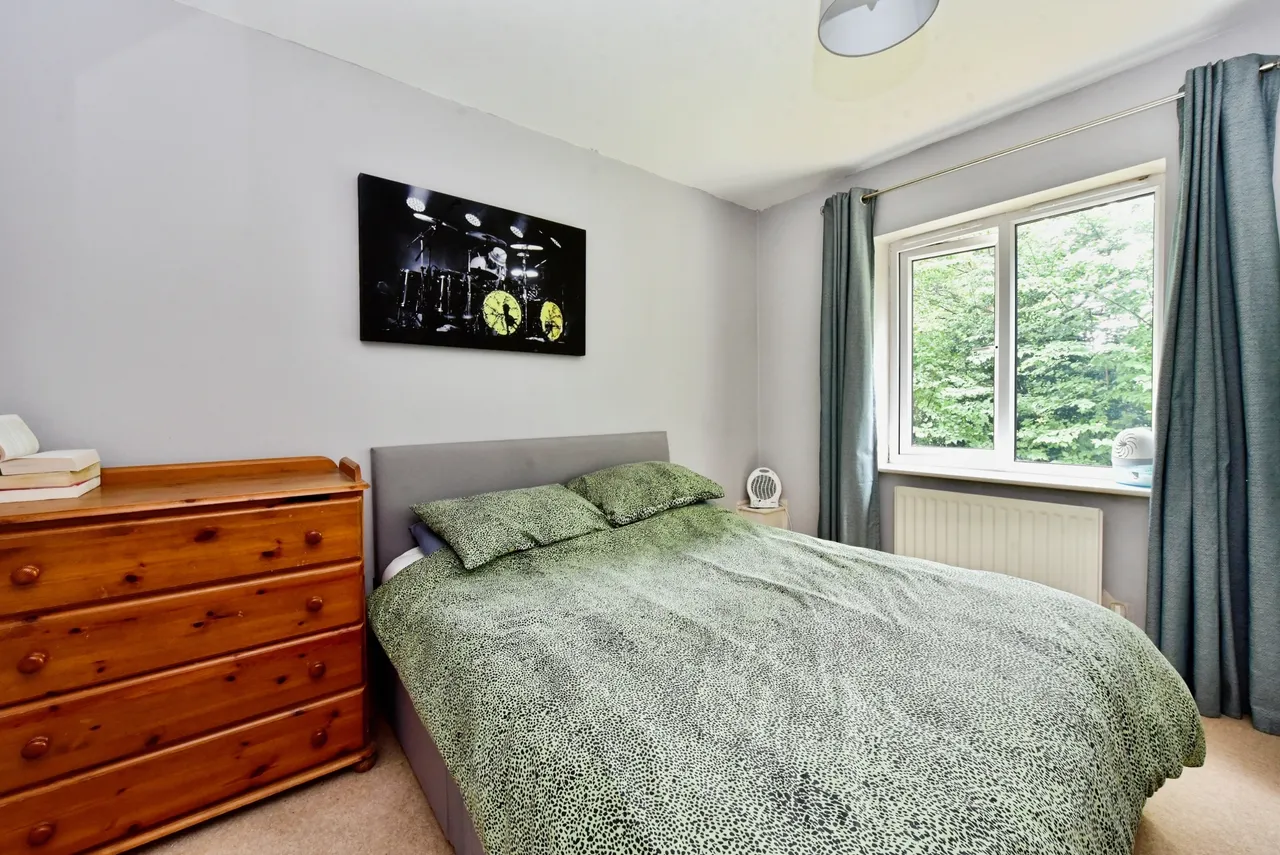 142 Chelsea Road, Sheffield, photo 5