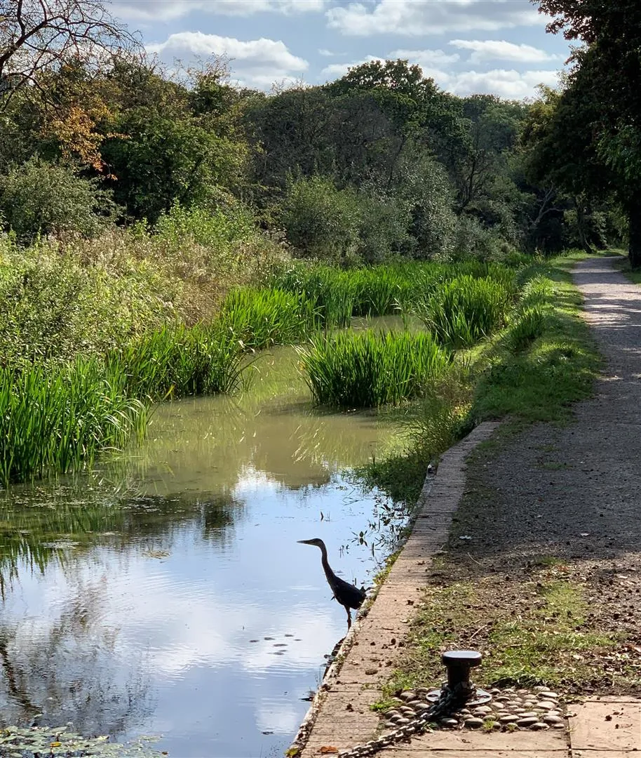 Lackham Place, Rowden Park Garden Village, SN15, photo 28