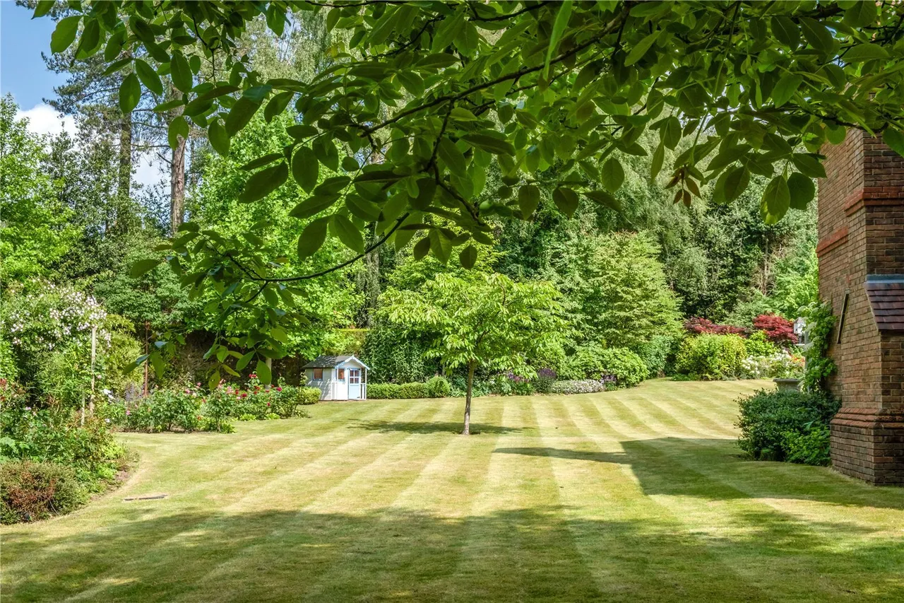 Kings Drive, Midhurst, GU29, photo 4