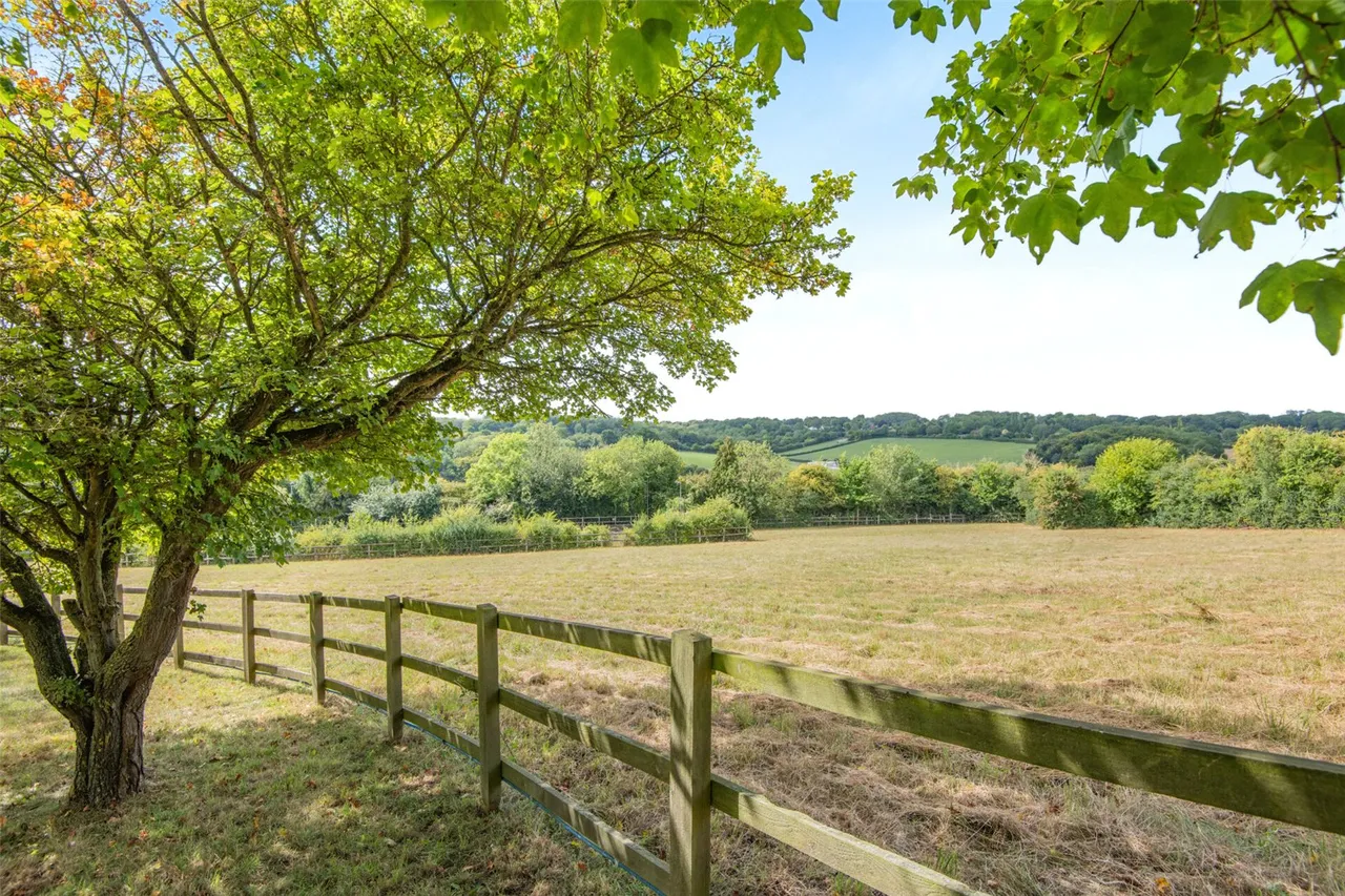 Idleigh Court Road, Meopham, DA13, photo 35