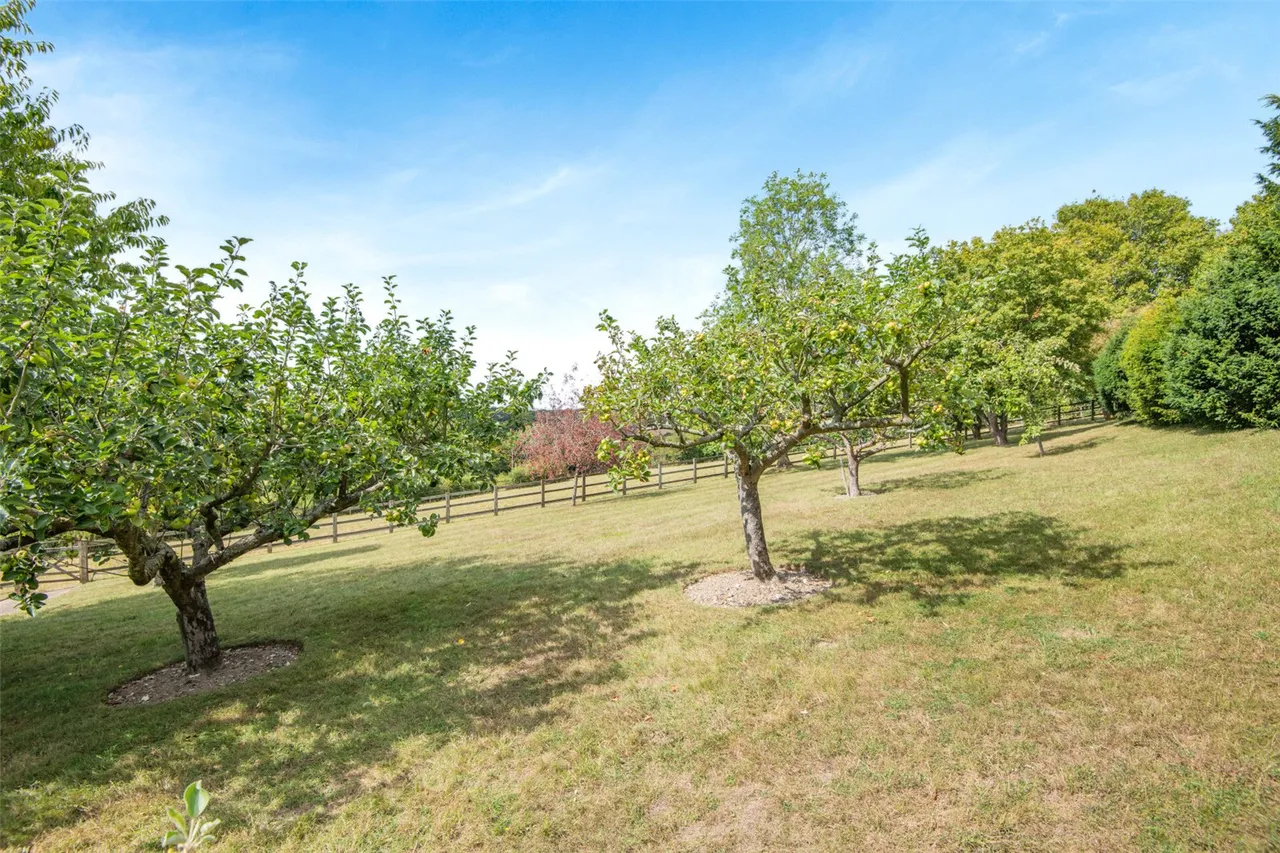 Idleigh Court Road, Meopham, DA13, photo 26