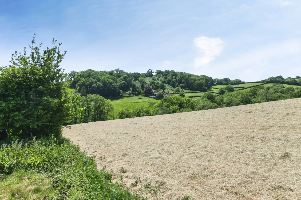 Aubyns Wood Rise, Tiverton, EX16, photo 17