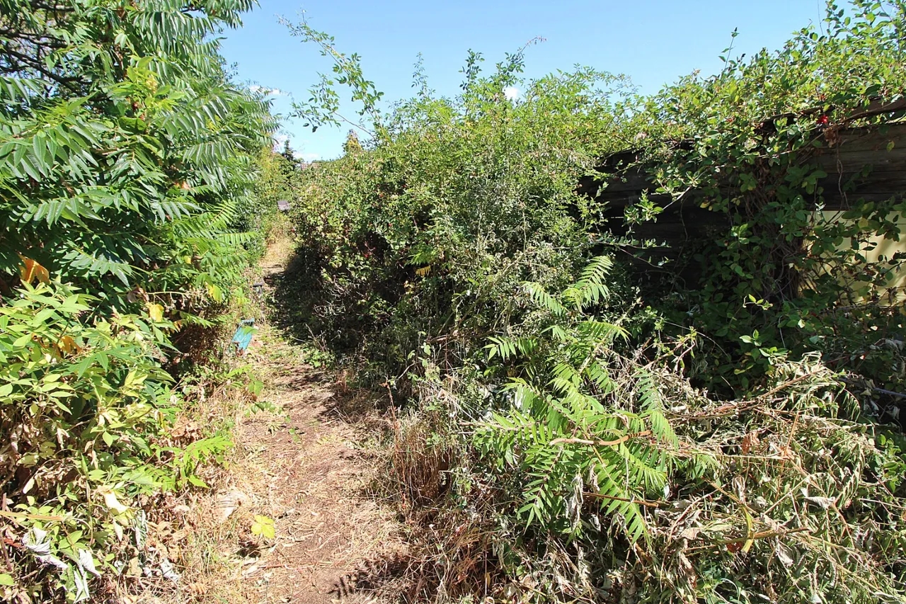 Kings Road, Flitwick, photo 10