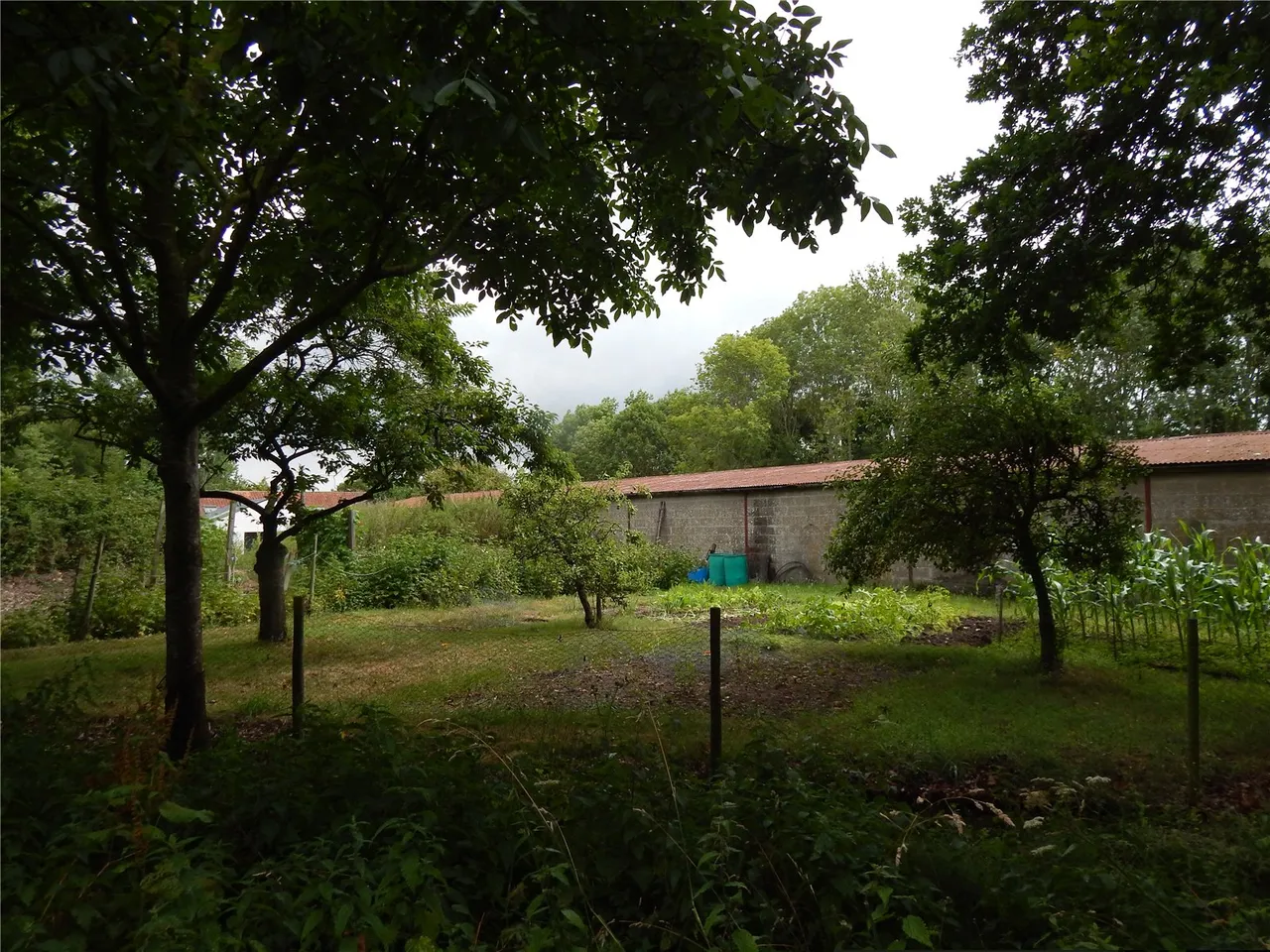 Bacon Green Lane, Westhall, Halesworth, Suffolk, IP19 8NS, photo 3