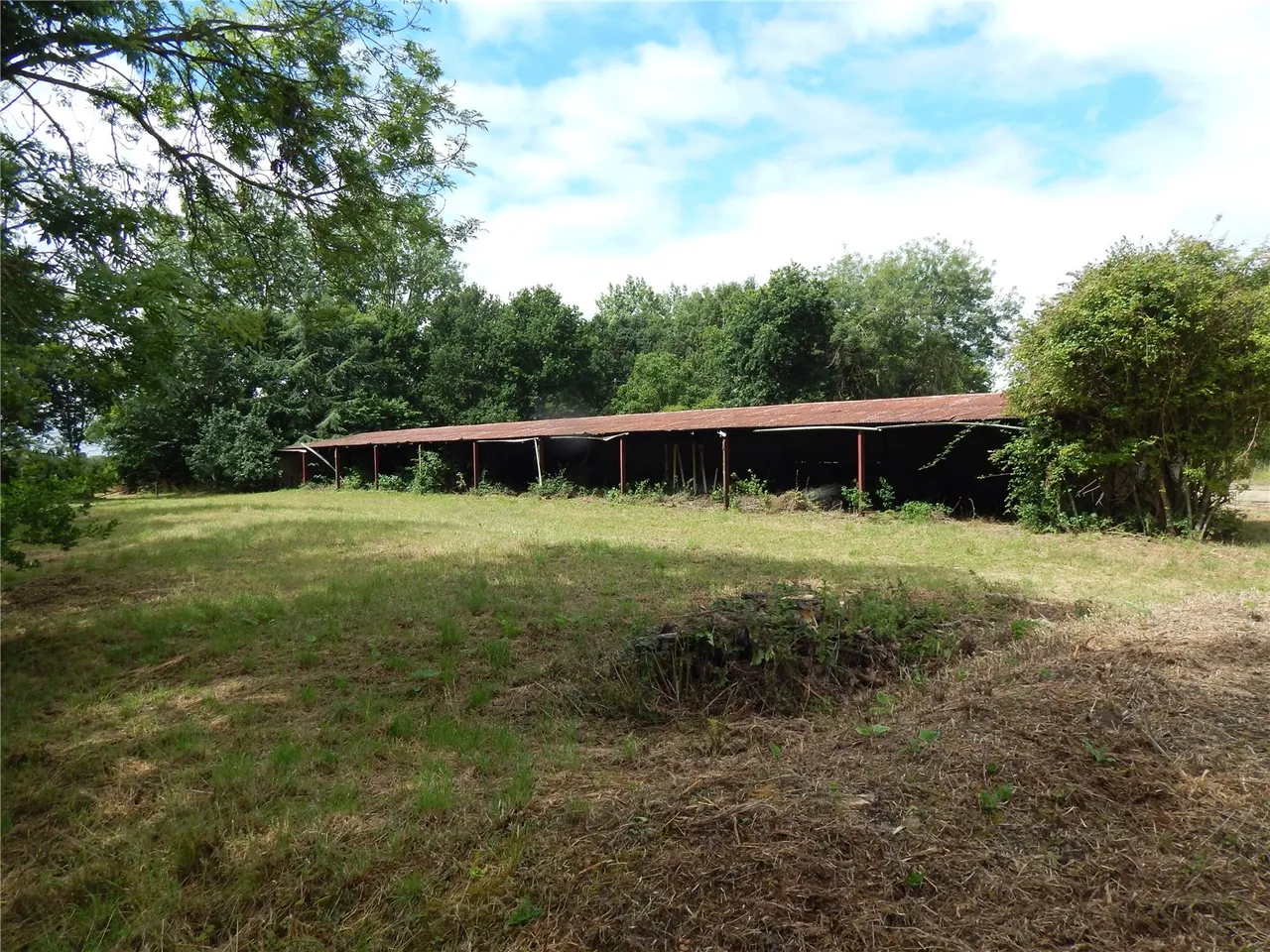 land for sale — Bacon Green Lane, Westhall, Halesworth, Suffolk, IP19 8NS