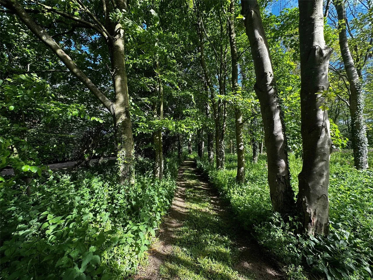 Elsham Wolds, Elsham, photo 48