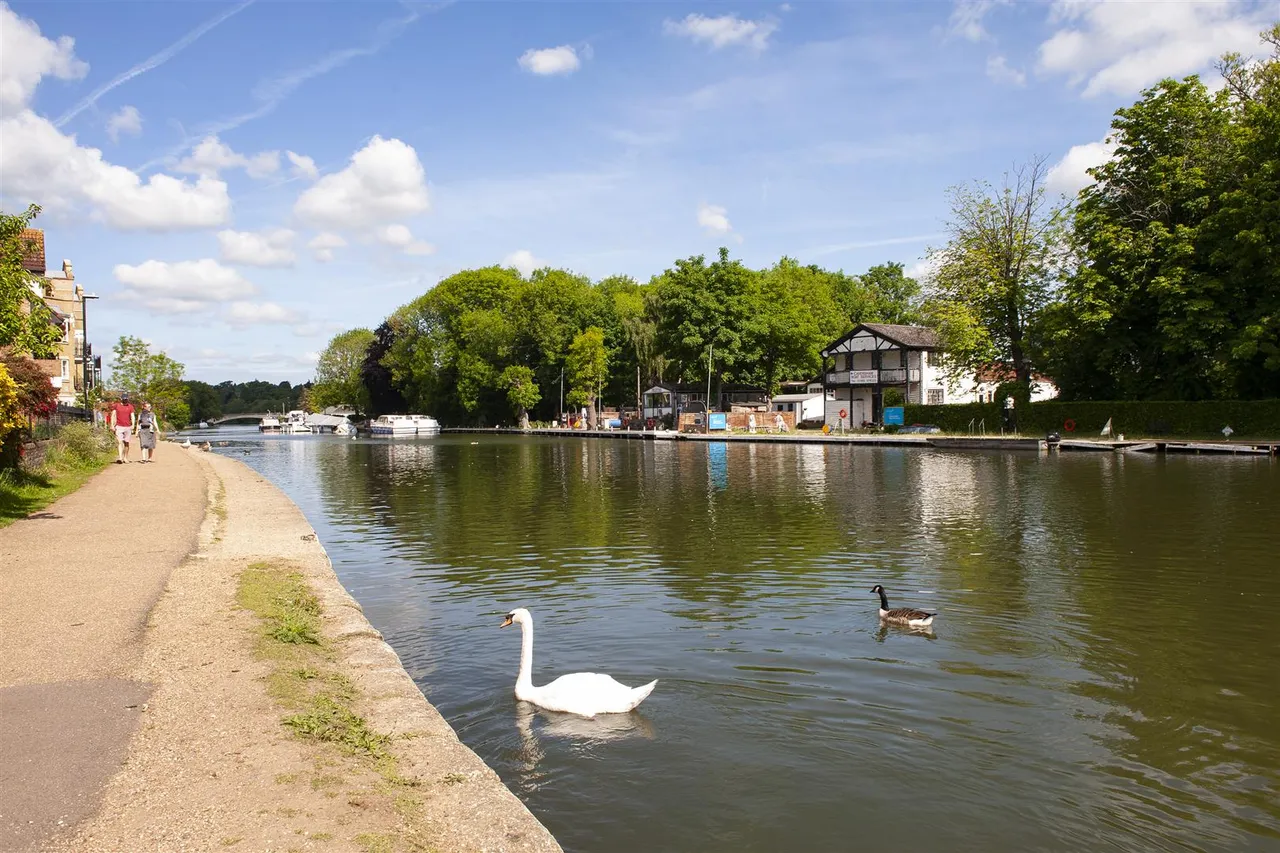 Chatham Street, Central Reading, RG1, photo 14
