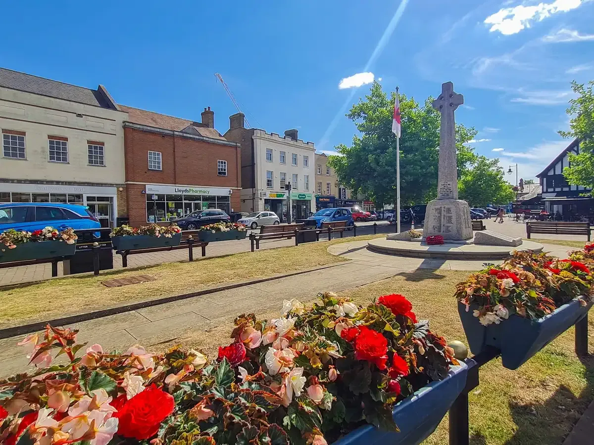 Venus Avenue, Biggleswade, SG18, photo 13