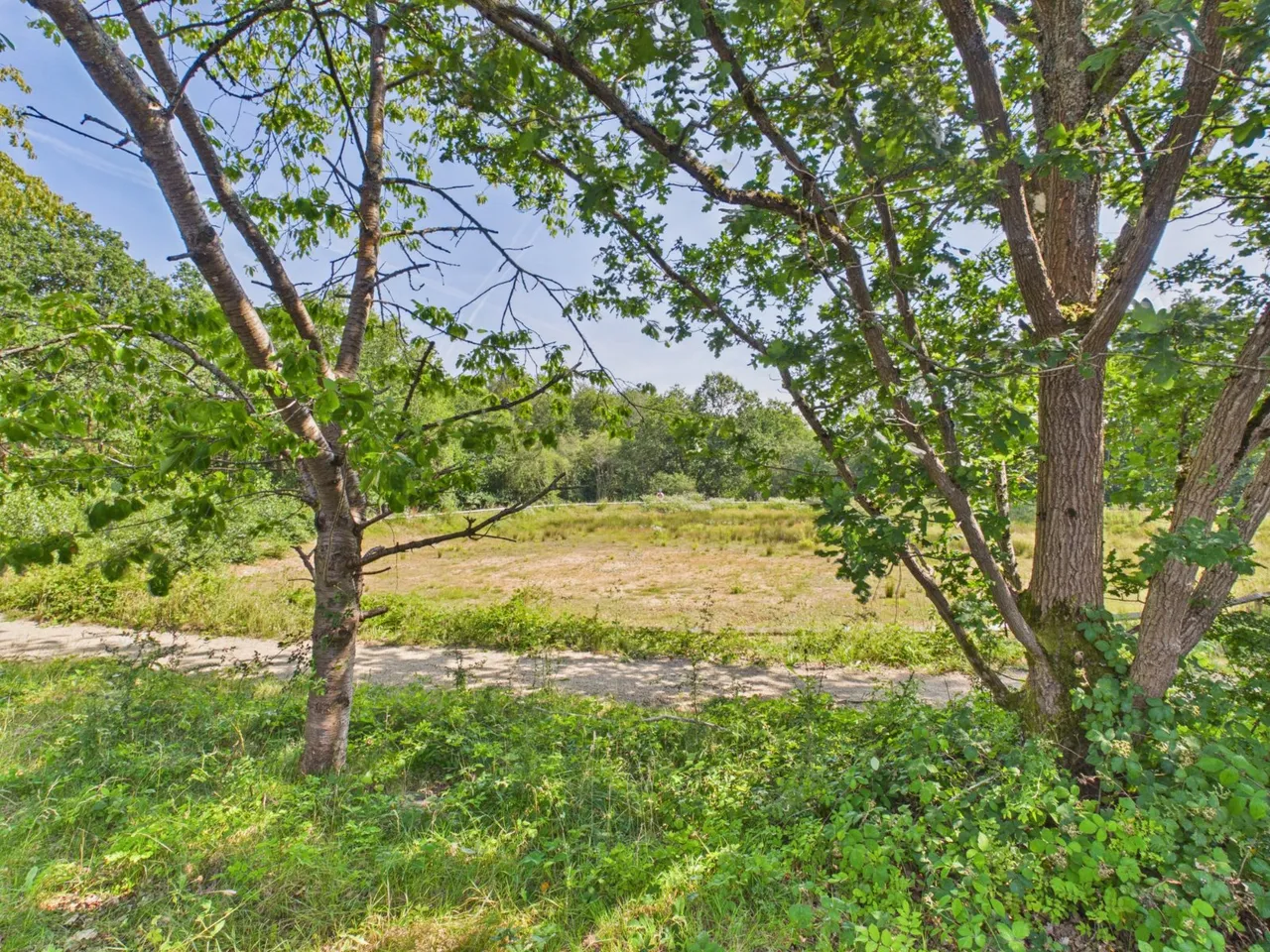 Kendrick Avenue, Wilton Park, HP9, photo 9