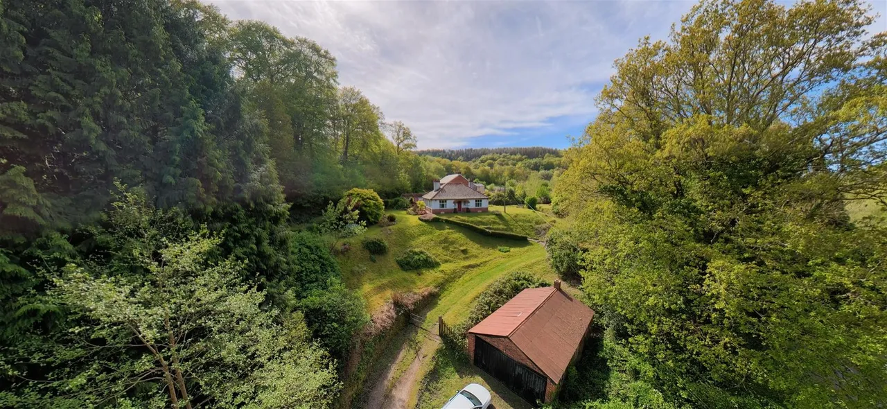 Upper Lydbrook, Lydbrook, GL17, photo 10