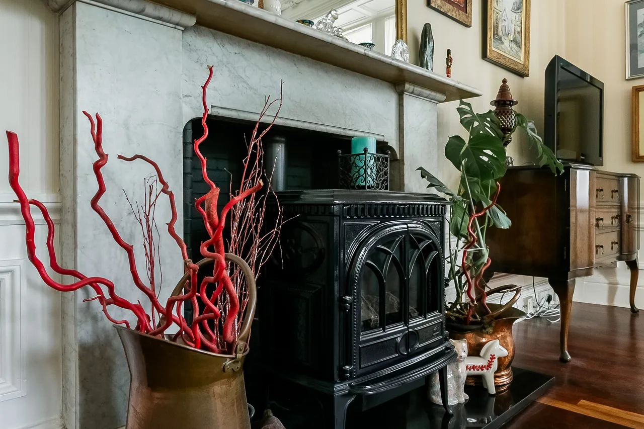 Cornwall Street, Lauriston, EH1, photo 7