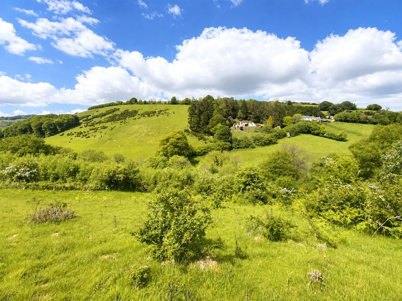 Winsford, Minehead, photo 24