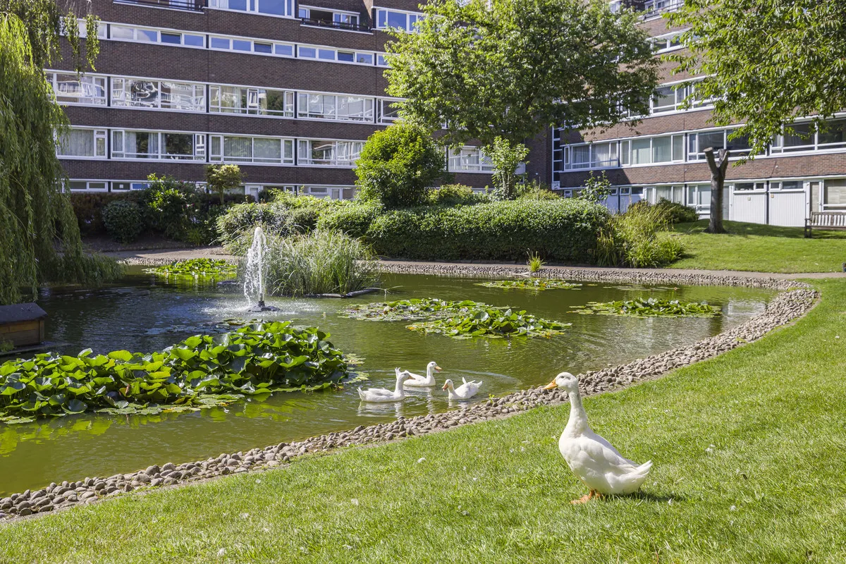 Bromley, BR2 9BS, photo 10