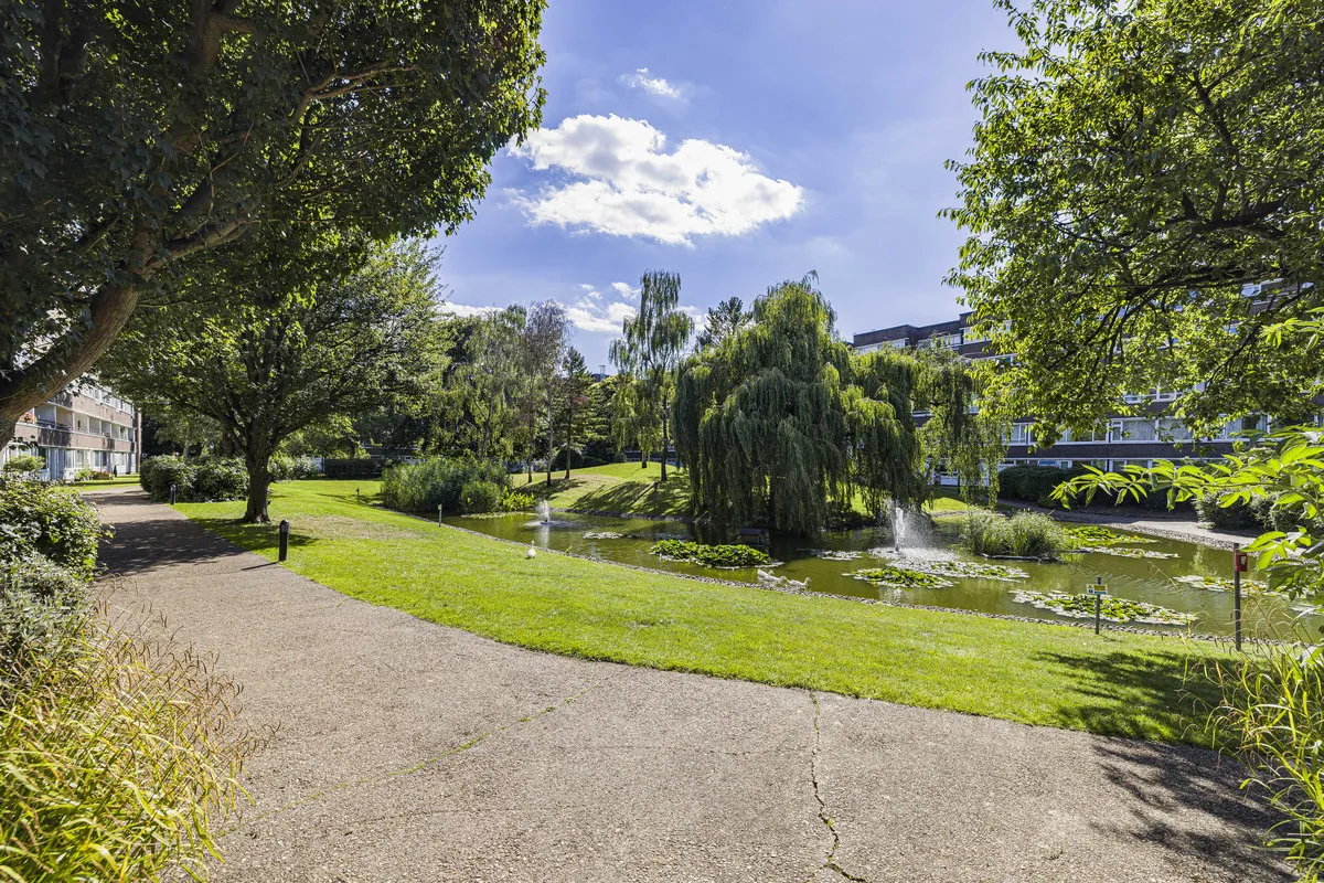 Bromley, BR2 9BS, photo 6