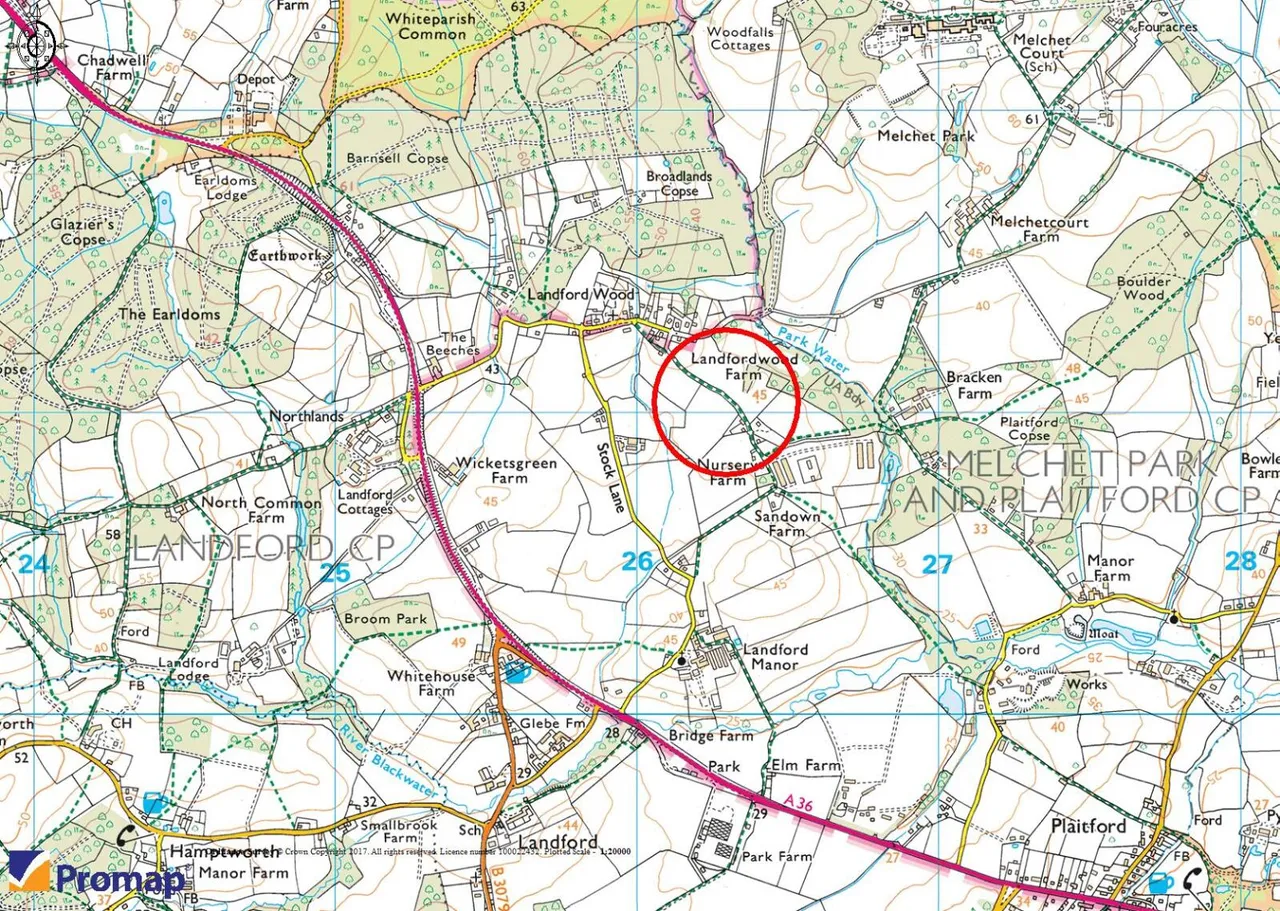 Landford Wood, Salisbury, Wiltshire, SP5 2ES, photo 4
