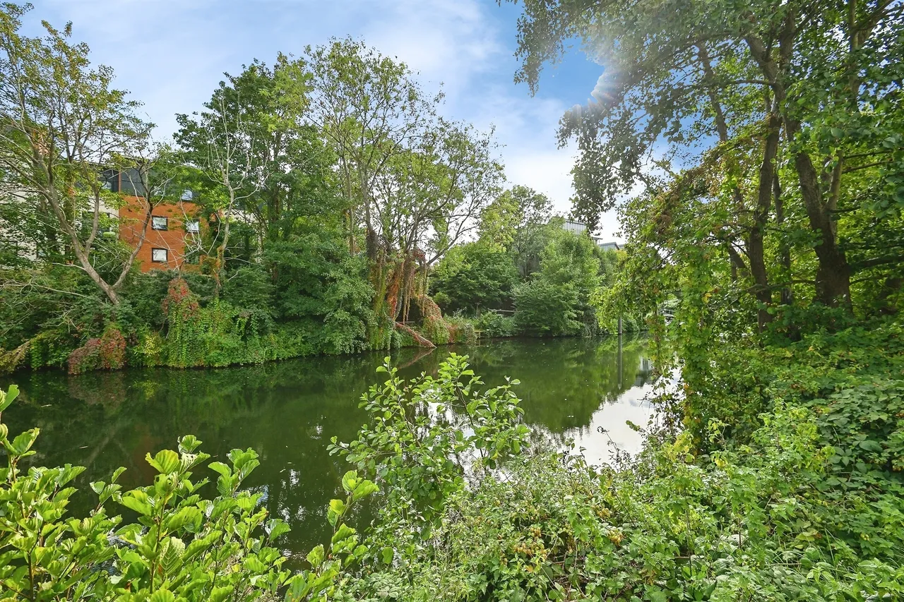Clifford Way, Maidstone, ME16, photo 9