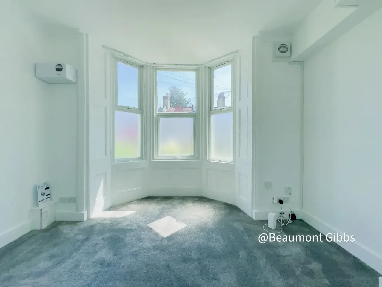 Vicarage Park, Plumstead, SE18, photo 20