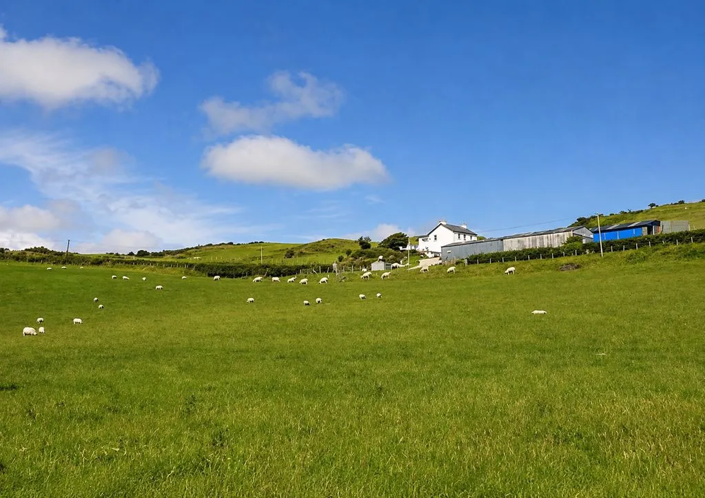 Mynydd Isaf, Aberdovey, LL35, photo 11