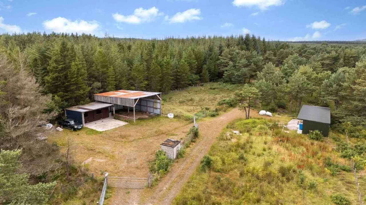 Croft 1 - Tinker's Lane, Hilton Of Embo, Dornoch, IV25 3PW, photo 3
