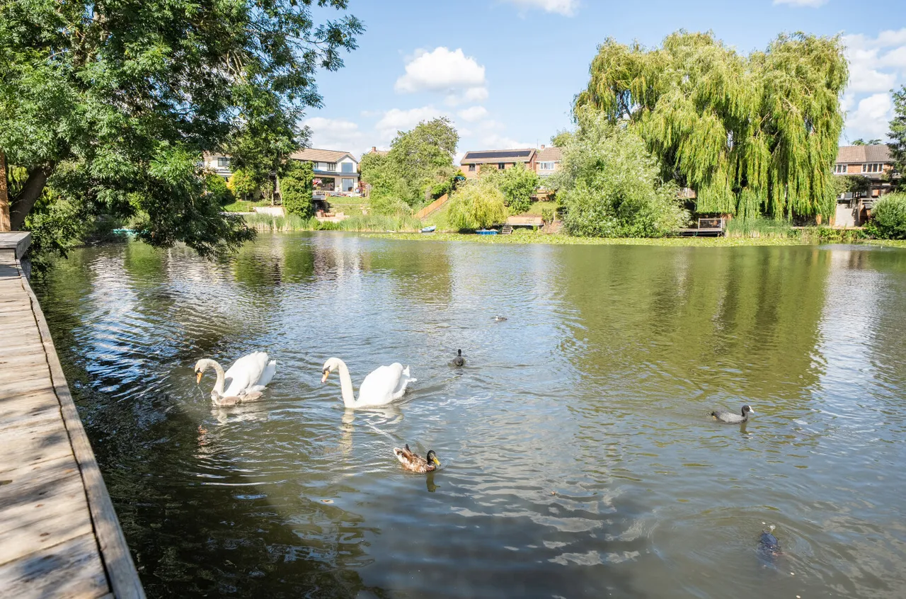 Folders Lane, Bracknell, Berkshire, RG42 2LP, photo 4