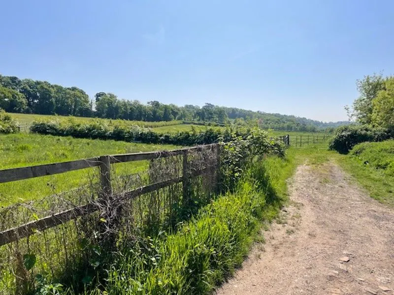 Hedsor Road, Bourne End SL8 5ES, photo 12