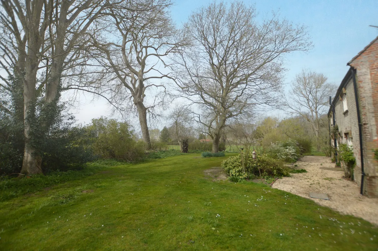 Skeyton, photo 21