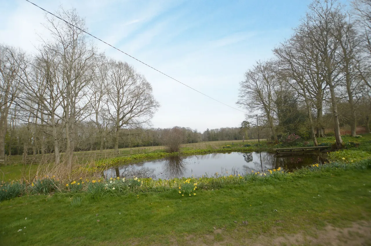 Skeyton, photo 15